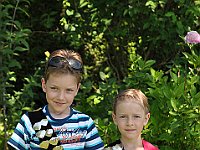 DSC 008
